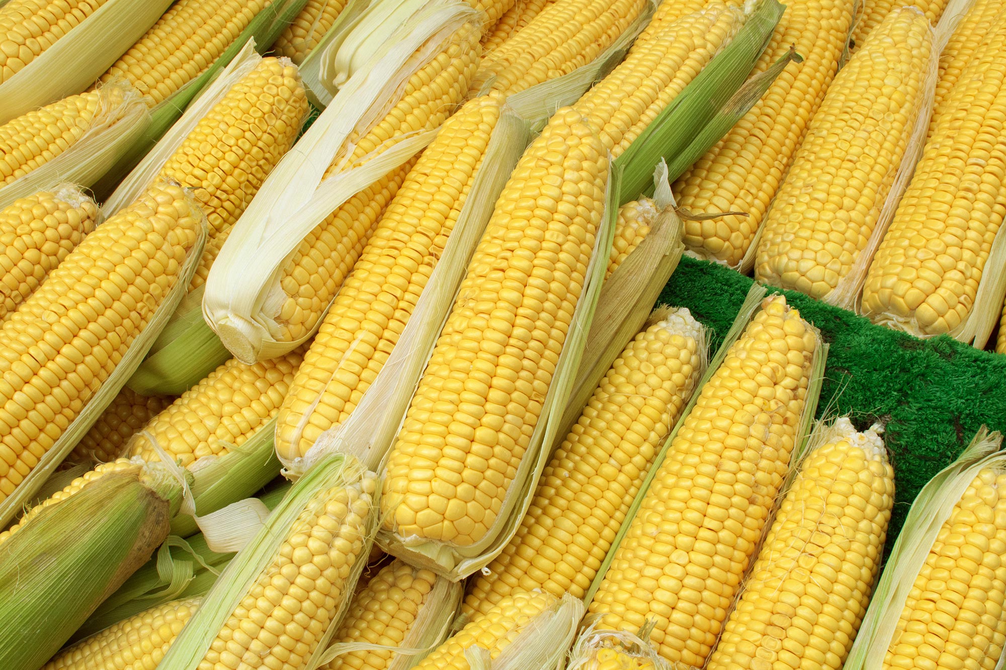 sweet-corn
